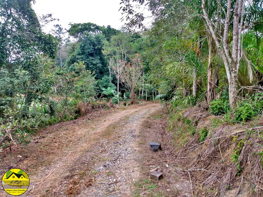 Fazenda à venda com 3 quartos, 30m² - Foto 21