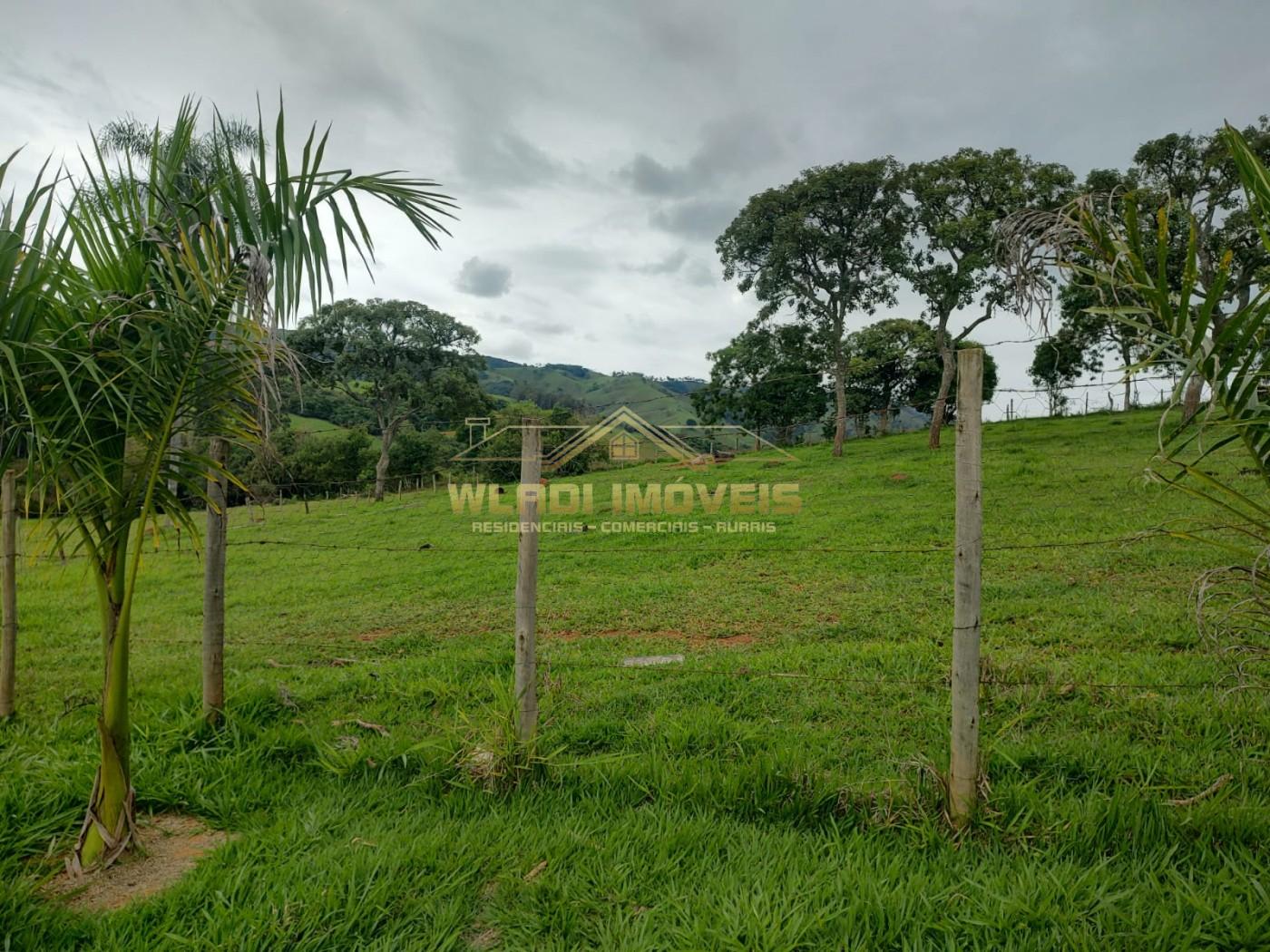 Sítio à venda, 73000m² - Foto 2