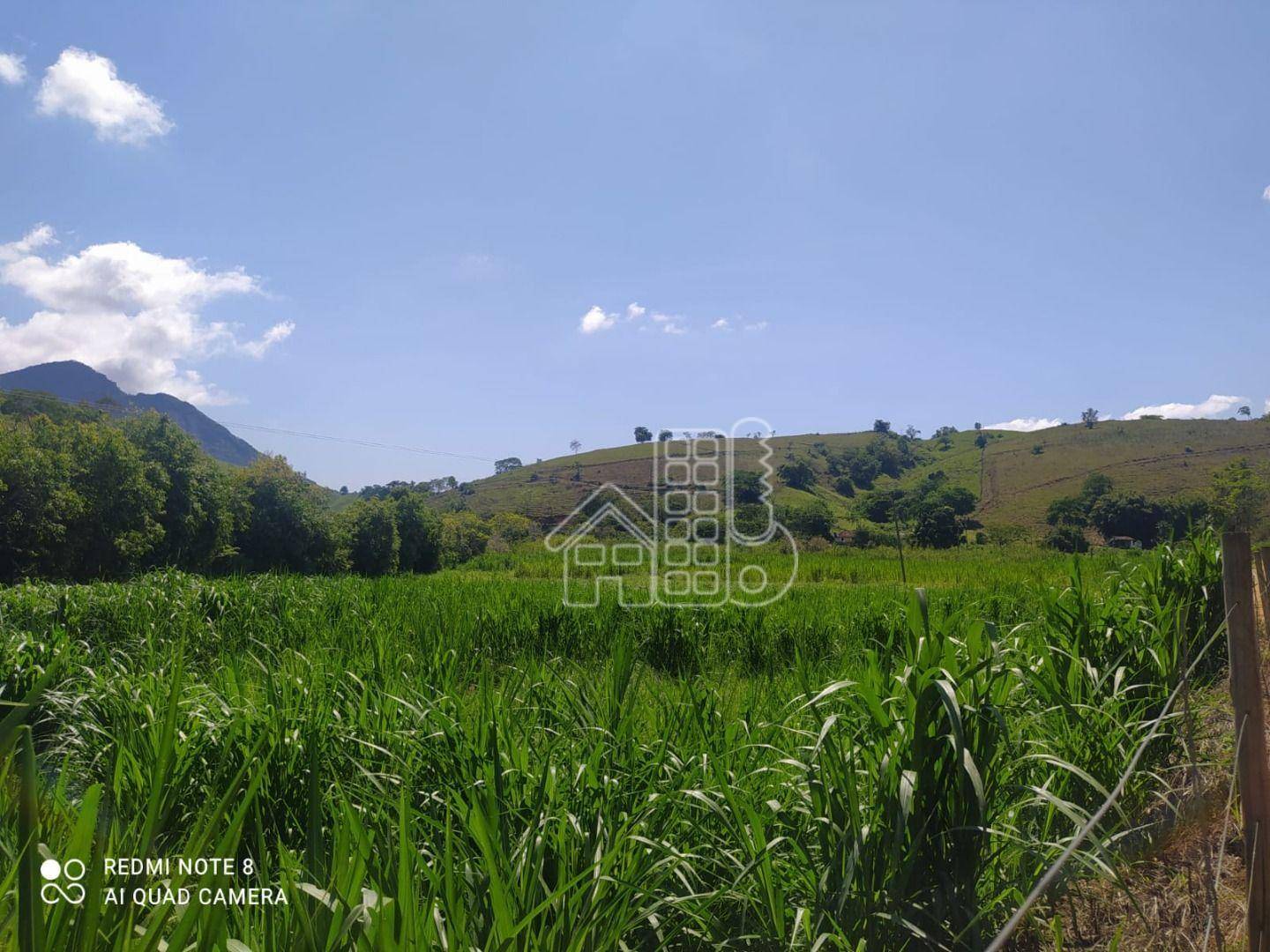 Fazenda-Sítio-Chácara, 38 hectares - Foto 2