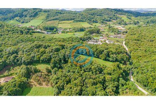 Terreno, 5 hectares - Foto 5