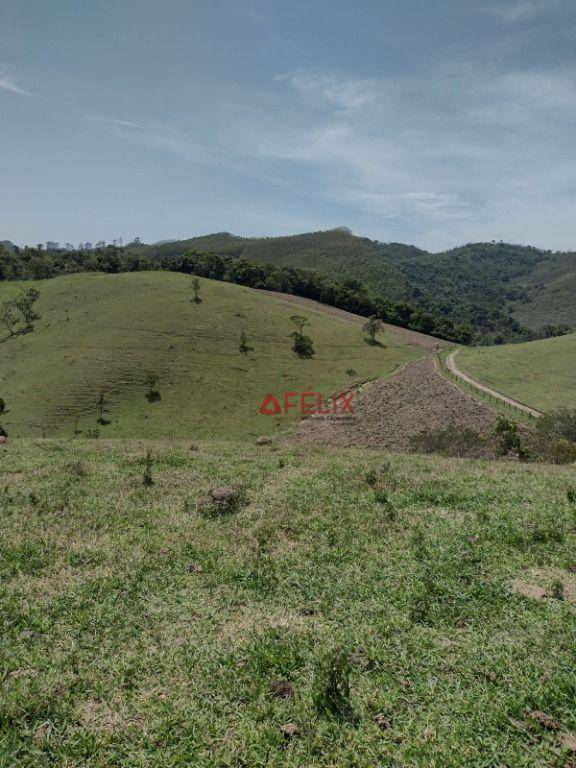 Fazenda-Sítio-Chácara, 140 hectares - Foto 2