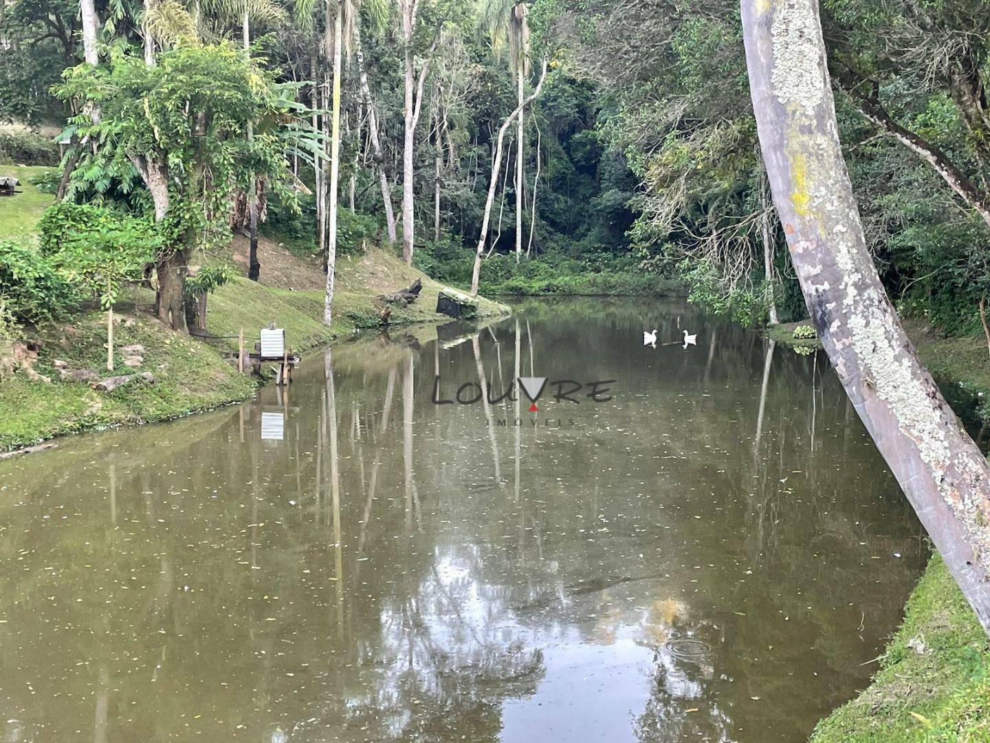 Sítio à venda com 3 quartos, 14000M2 - Foto 11