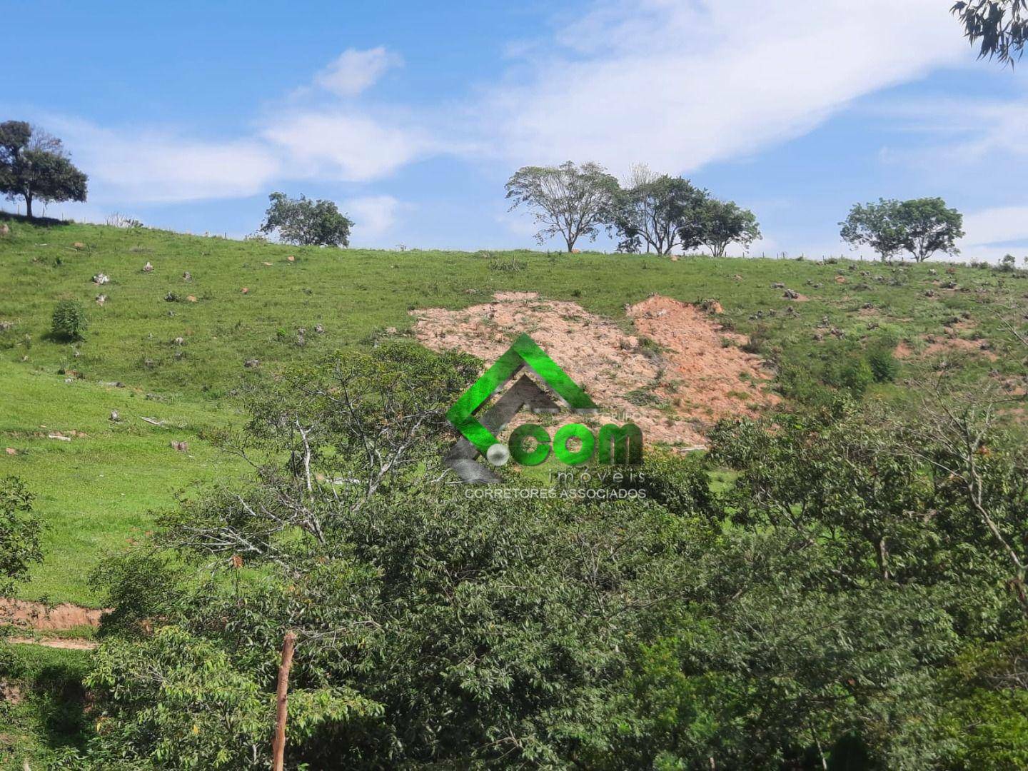 Terreno à venda, 20000M2 - Foto 3