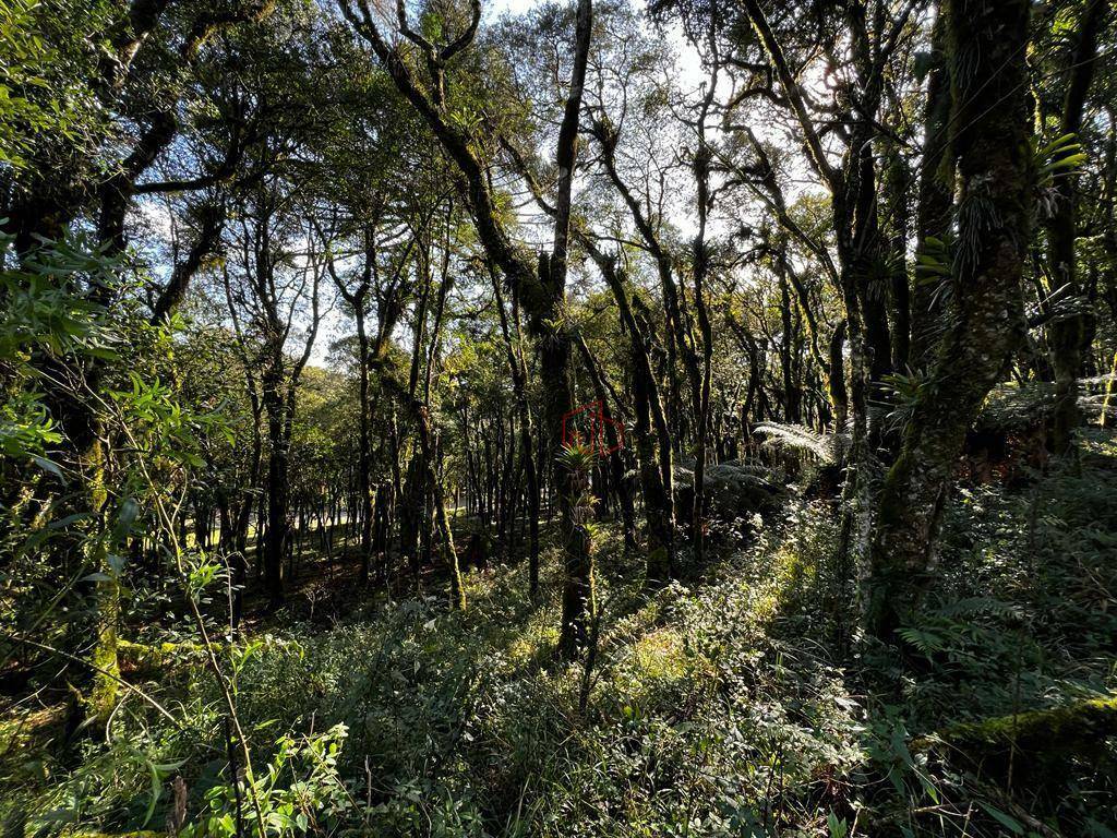 Loteamento e Condomínio à venda, 885M2 - Foto 3