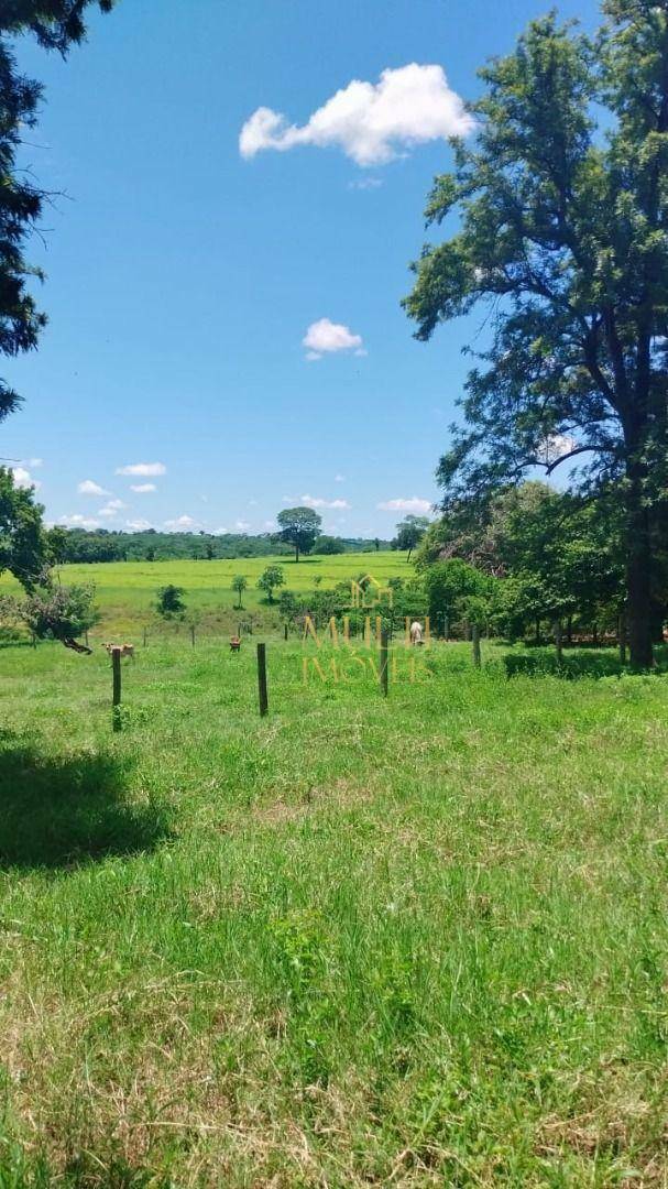 Fazenda à venda com 3 quartos, 1379400M2 - Foto 8