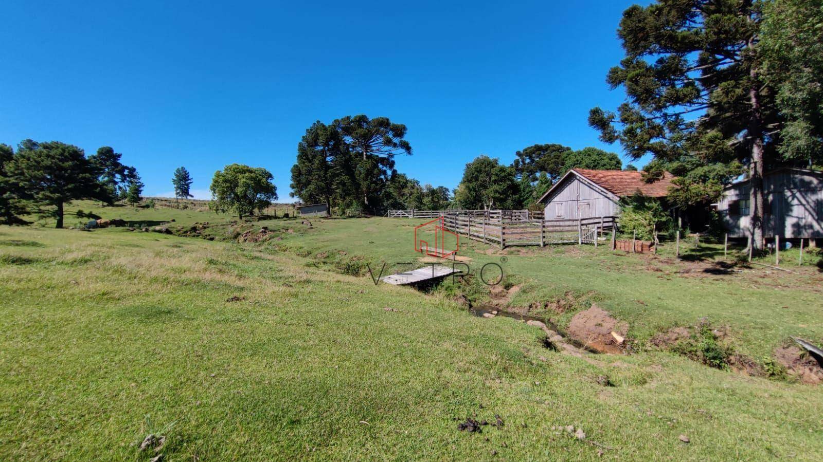 Sítio à venda com 3 quartos, 37000M2 - Foto 4
