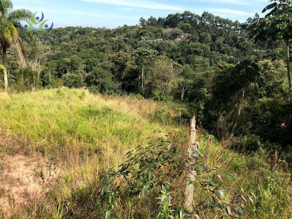 Terreno à venda, 4000M2 - Foto 3