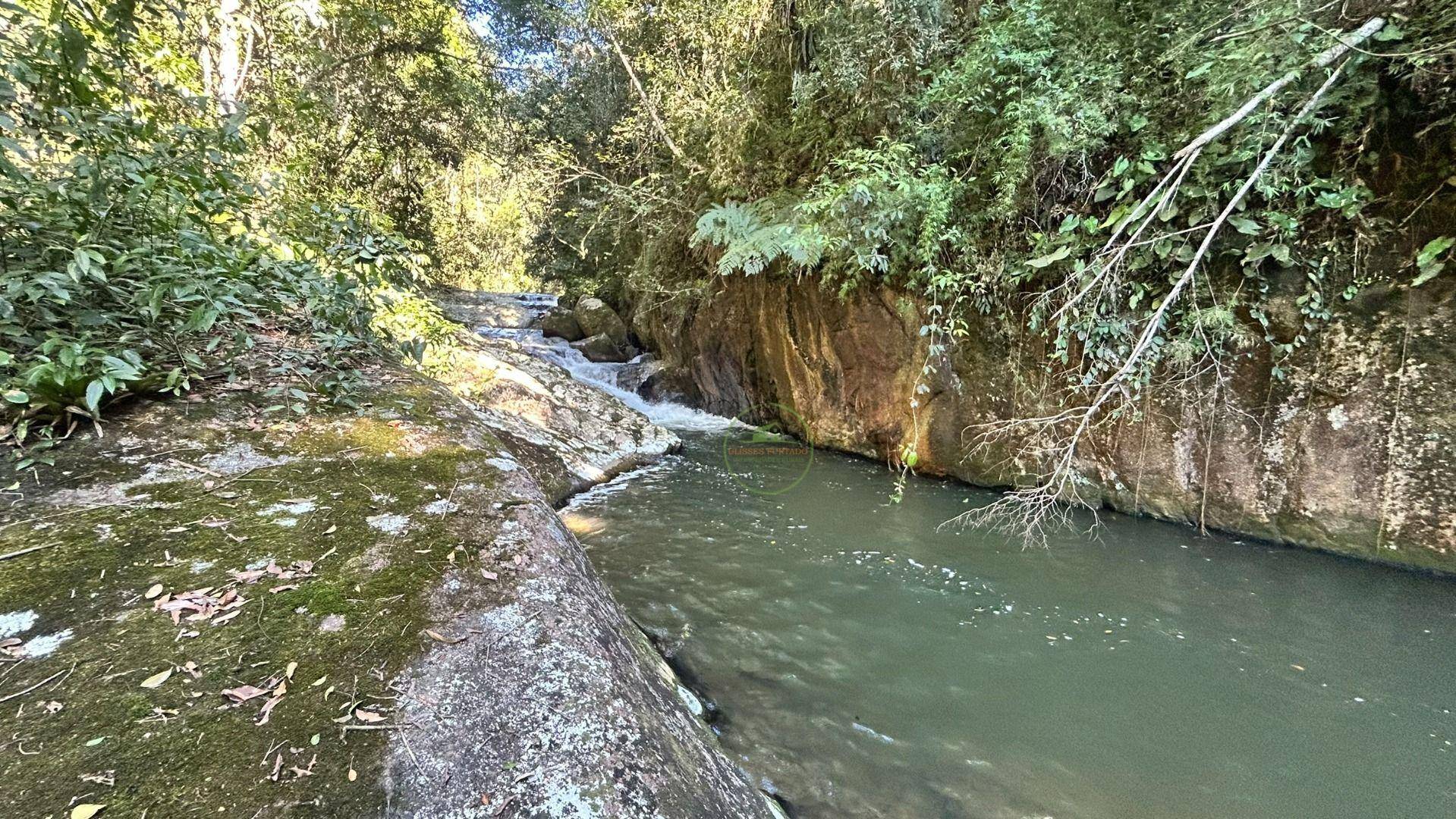 Sítio, 19 hectares - Foto 53