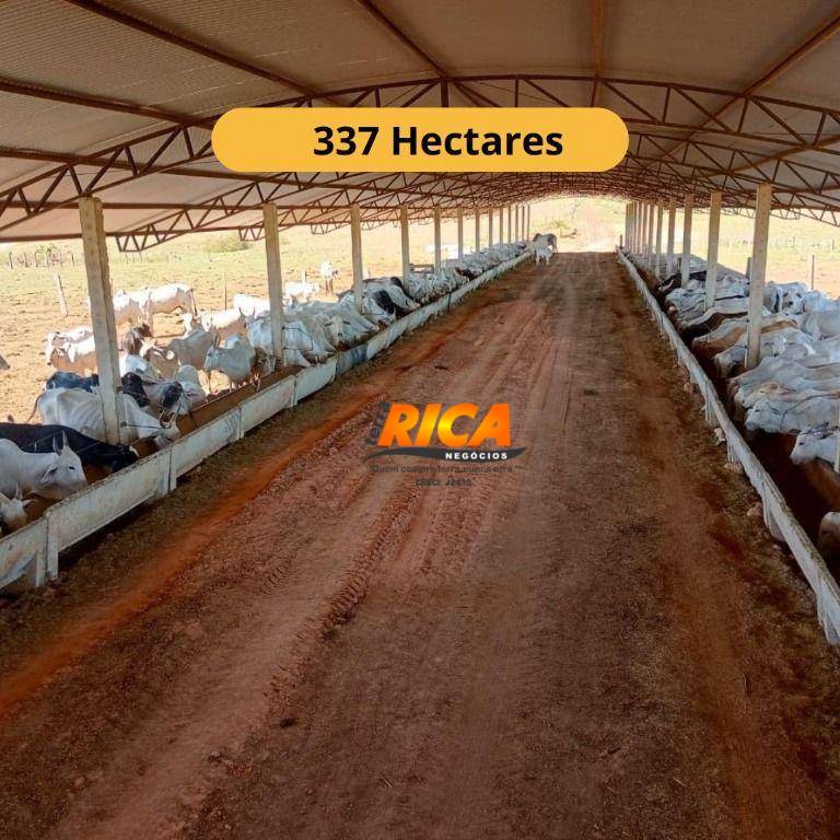 Fazenda, 337 hectares - Foto 1