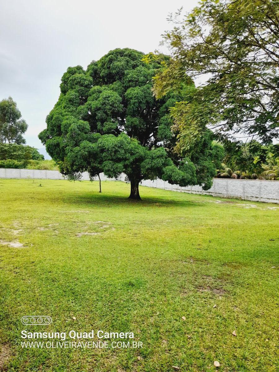 Fazenda à venda com 3 quartos, 20000m² - Foto 1