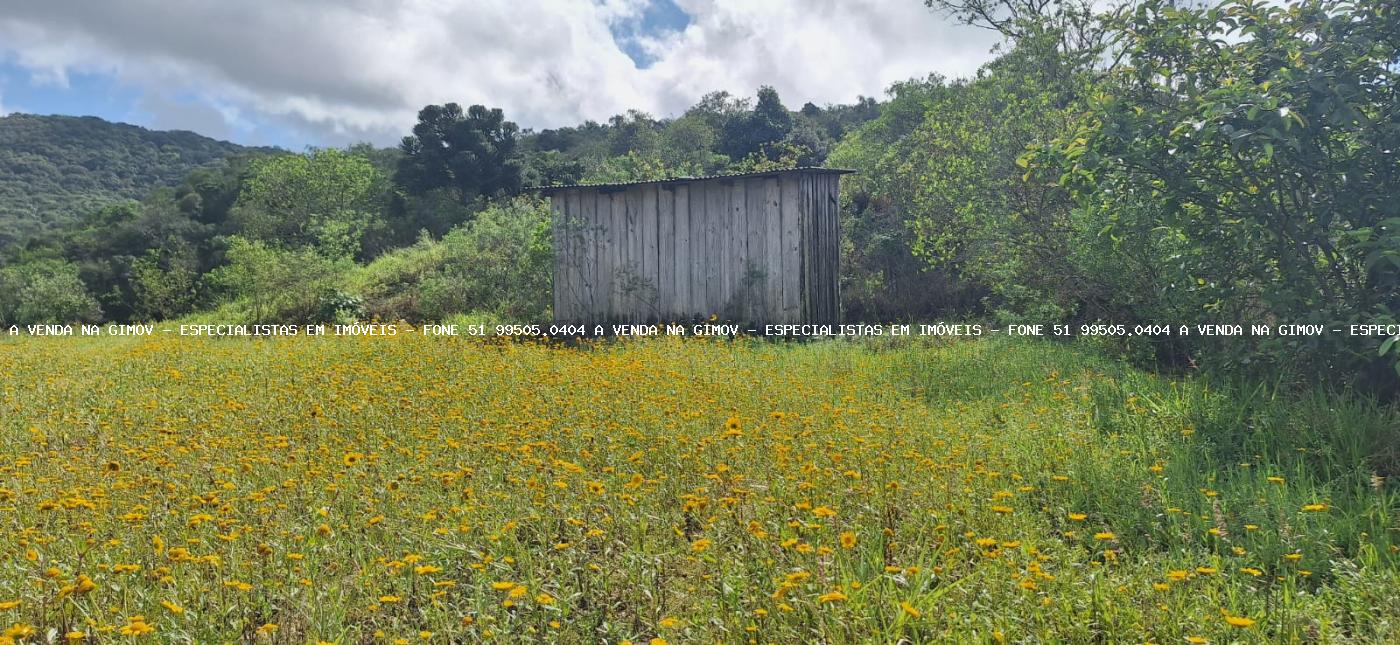 Fazenda à venda, 5397m² - Foto 8