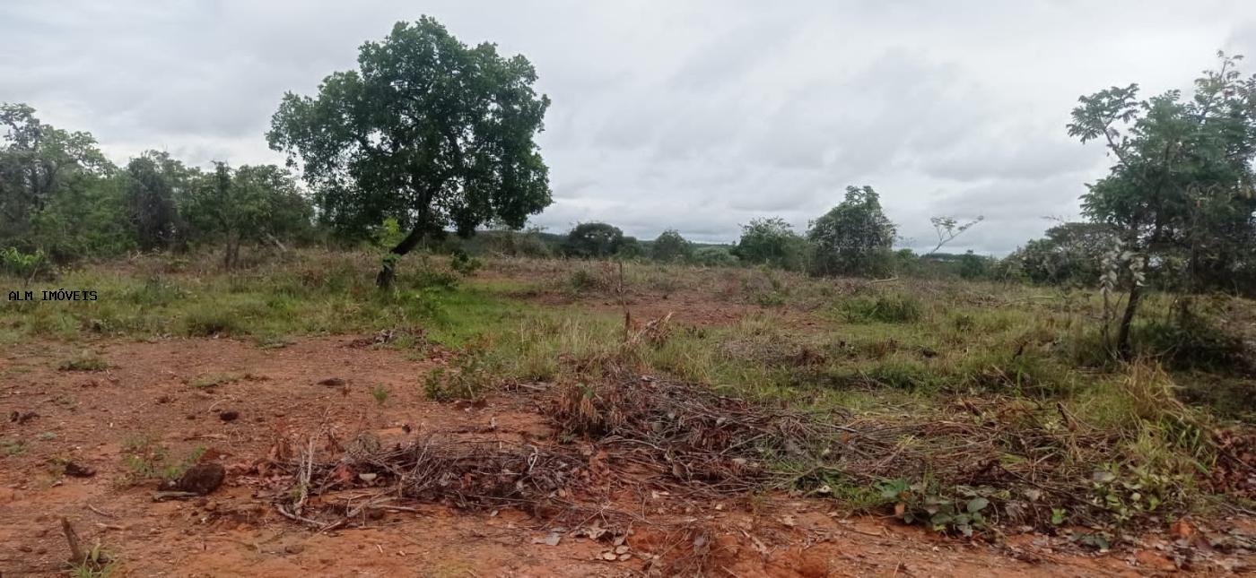 Fazenda à venda, 26000m² - Foto 6