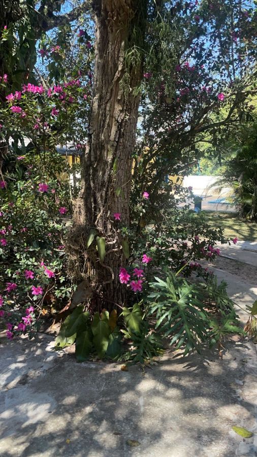 Chácara à venda, 325m² - Foto 6