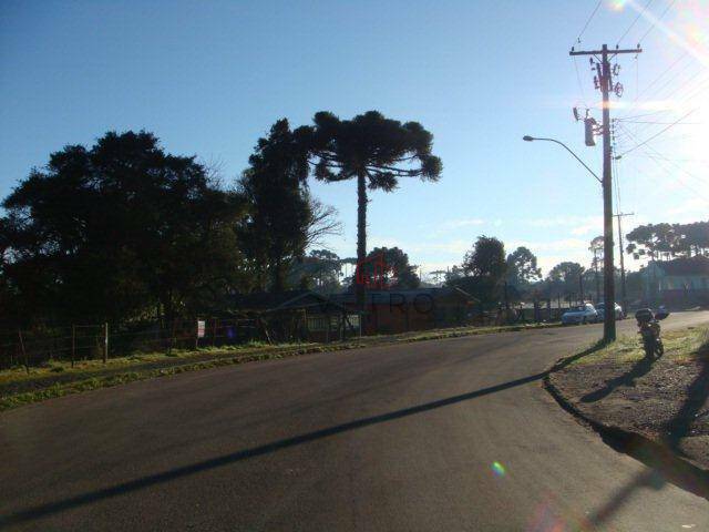 Terreno à venda, 4825M2 - Foto 2