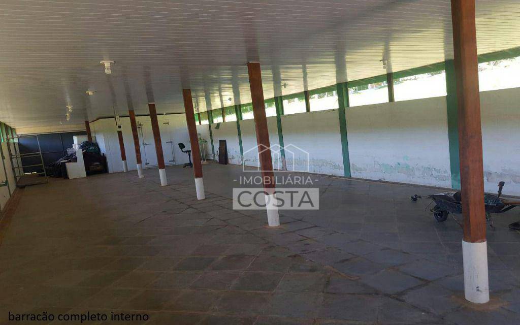 Sítio à venda com 4 quartos, 16600M2 - Foto 19