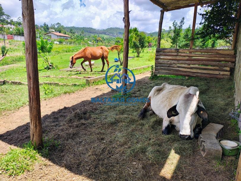 Sítio à venda com 4 quartos, 39000m² - Foto 28