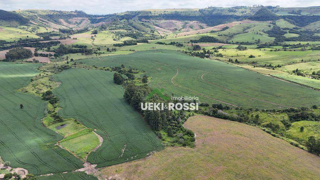 Fazenda-Sítio-Chácara, 341 hectares - Foto 1