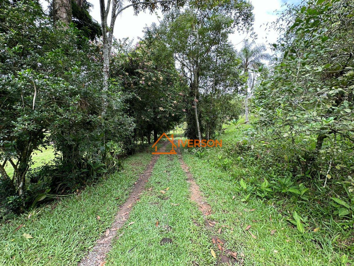 Sítio à venda com 3 quartos, 200m² - Foto 41