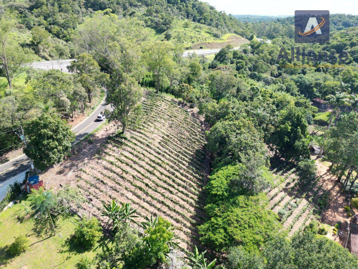 Terreno, 3 hectares - Foto 9