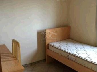 Apartamento à venda com 2 quartos, 71m² - Foto 15