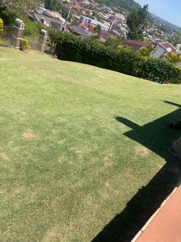Casa à venda com 2 quartos, 100m² - Foto 11