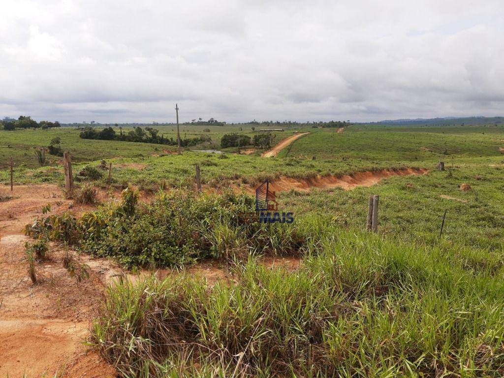 Fazenda-Sítio-Chácara, 3194 hectares - Foto 3