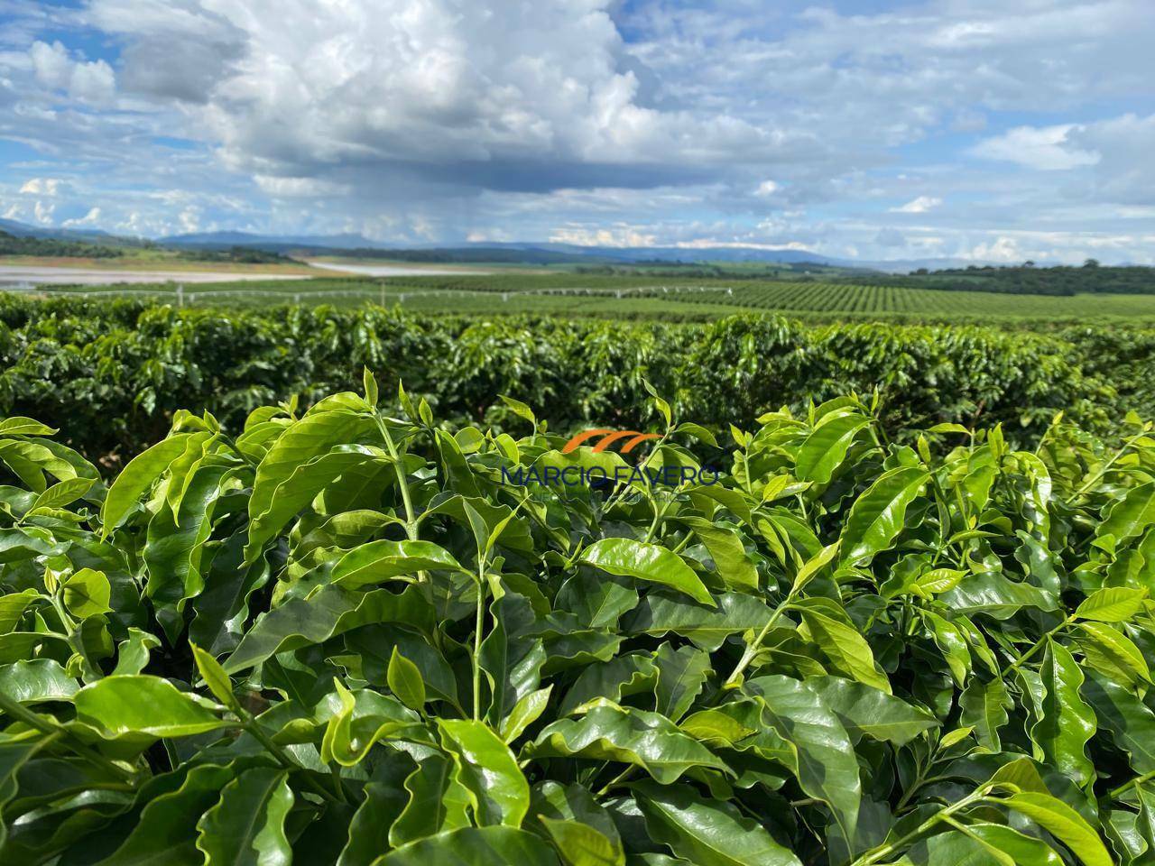 Fazenda à venda, 970000M2 - Foto 6