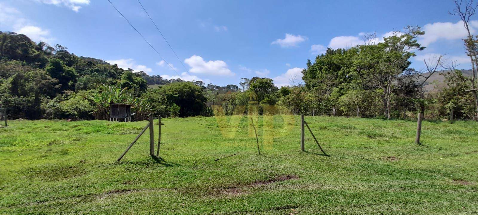 Chácara à venda com 3 quartos, 4000M2 - Foto 8