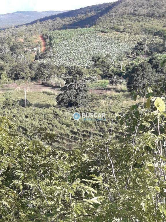 Fazenda à venda com 11 quartos, 440000M2 - Foto 80