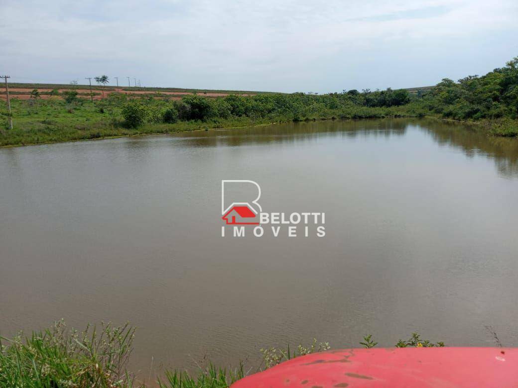 Fazenda-Sítio-Chácara, 1350 hectares - Foto 3