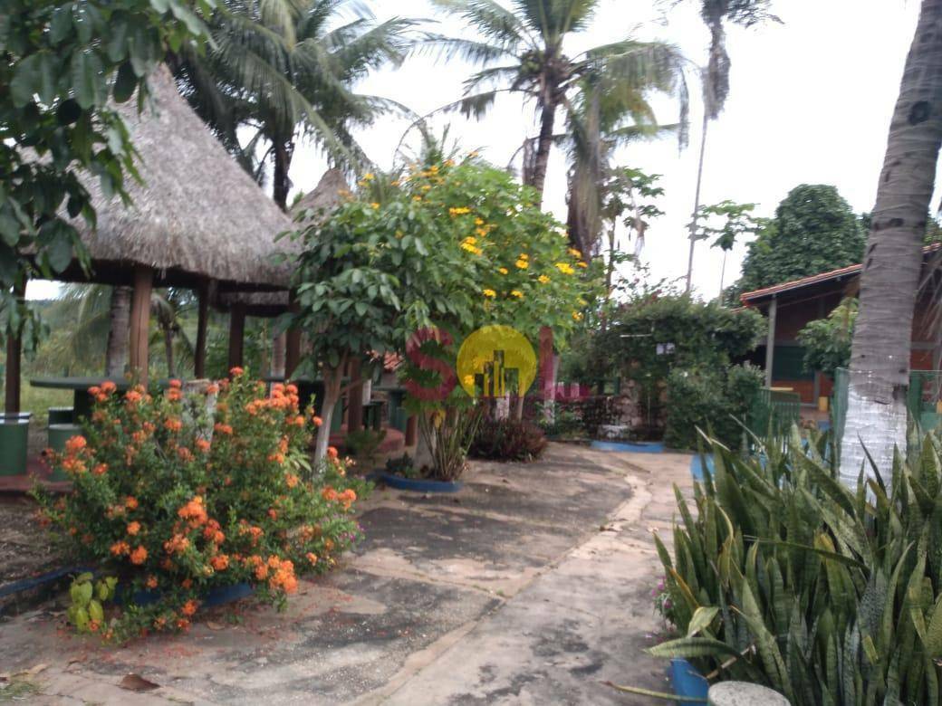 Sítio, 20 hectares - Foto 4