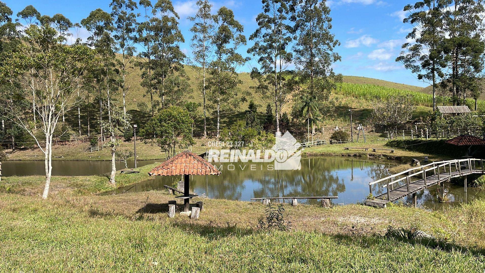 Fazenda à venda com 8 quartos, 900m² - Foto 49