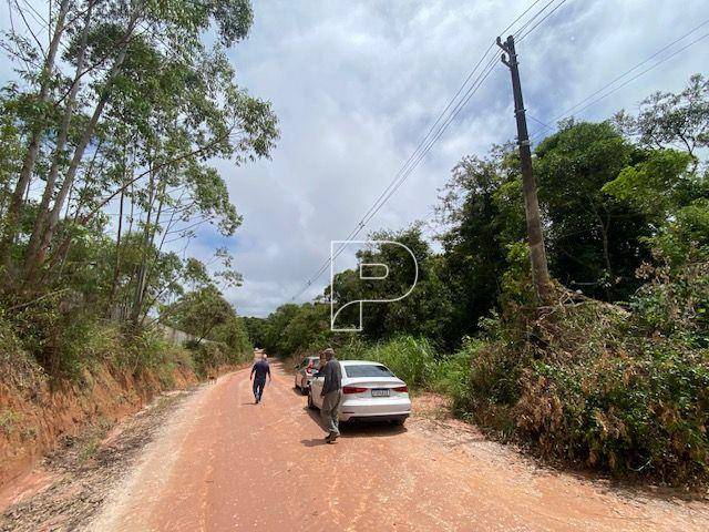 Terreno, 27 hectares - Foto 8