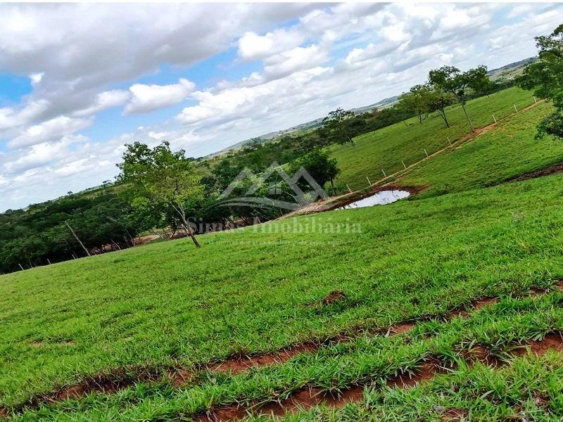 Fazenda à venda com 2 quartos, 47m² - Foto 5