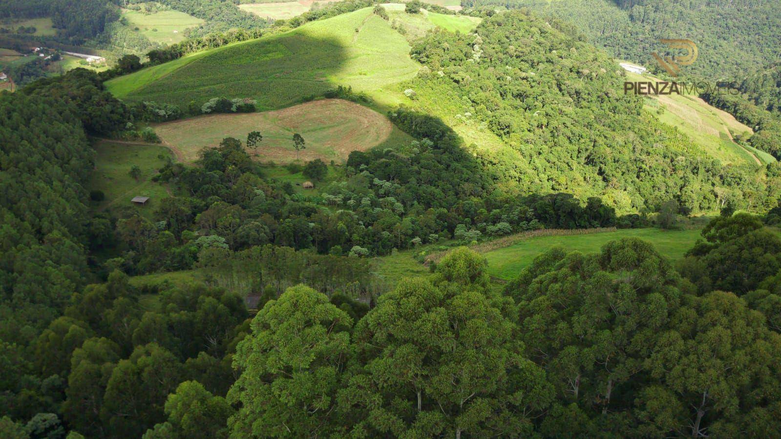 Terreno à venda, 140000M2 - Foto 3