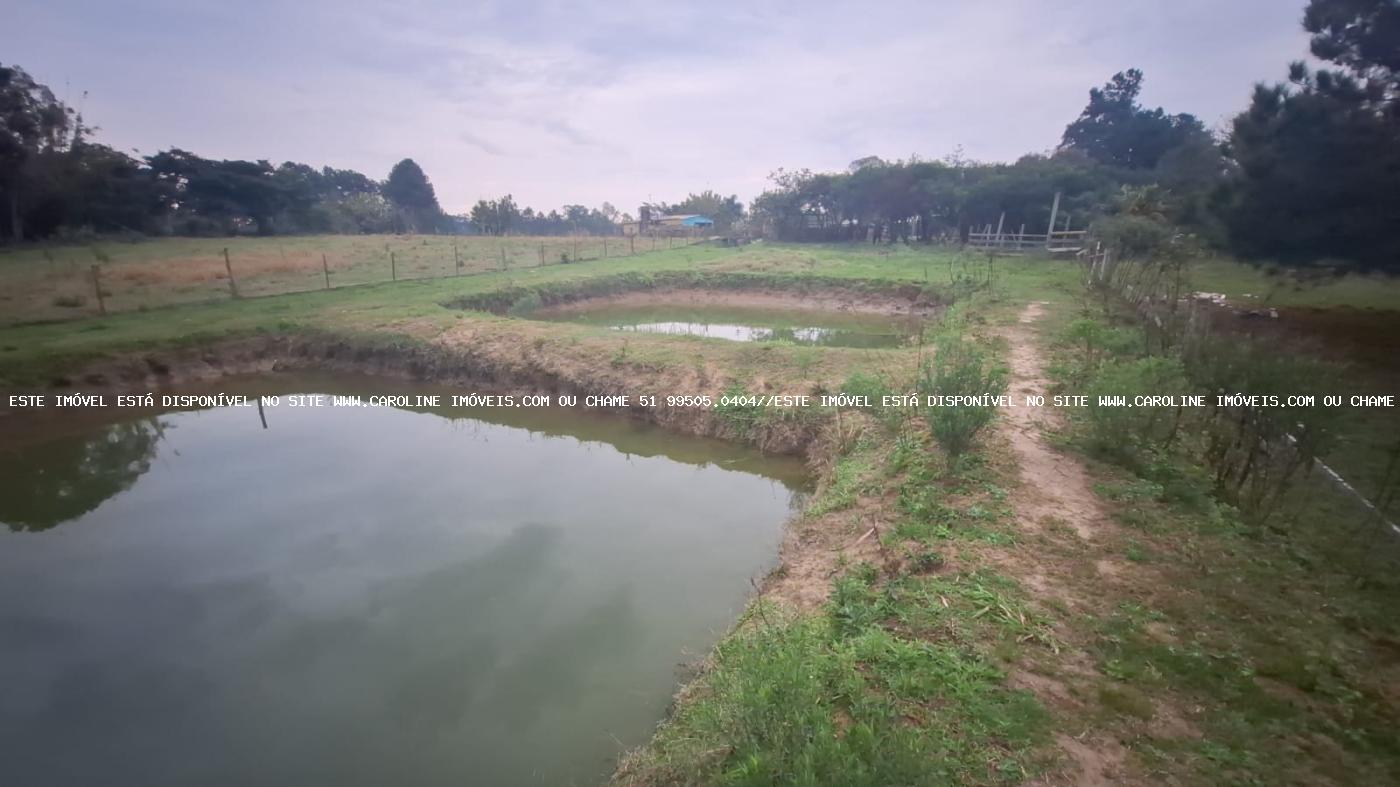 Fazenda à venda com 2 quartos, 6790m² - Foto 10