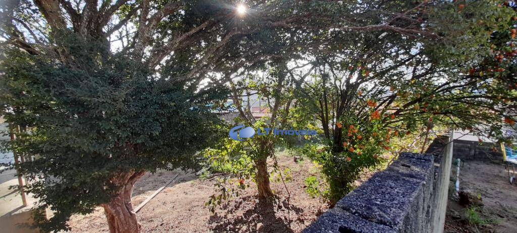 Terreno, 2000 m² - Foto 3