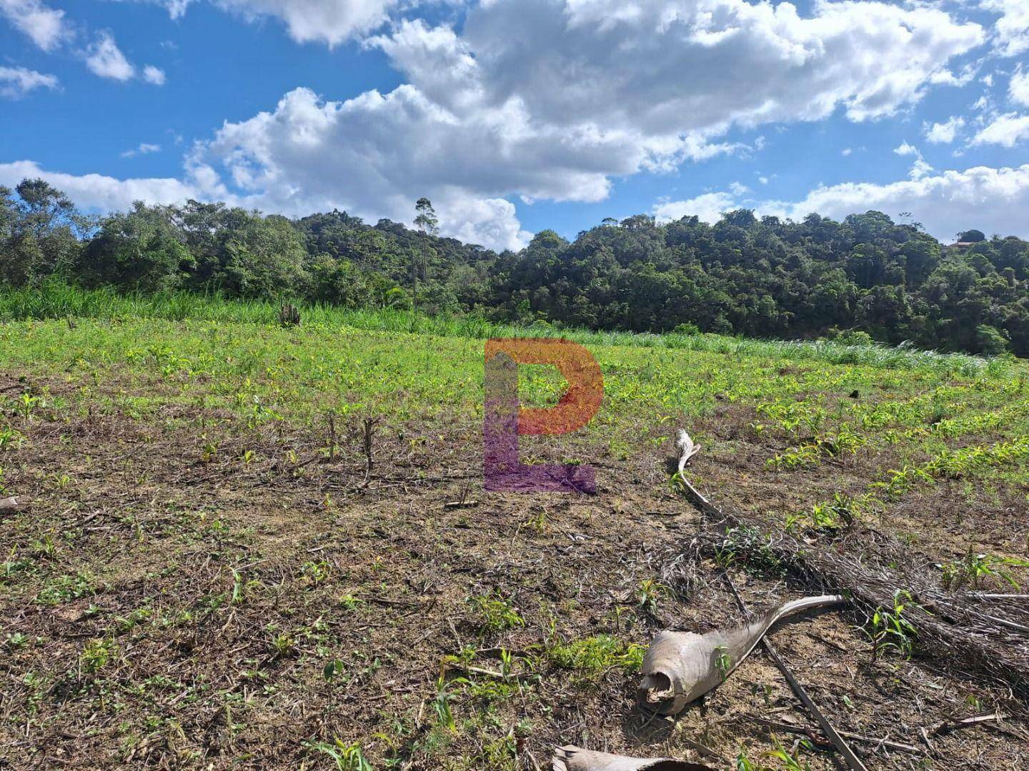 Terreno, 2790 m² - Foto 2