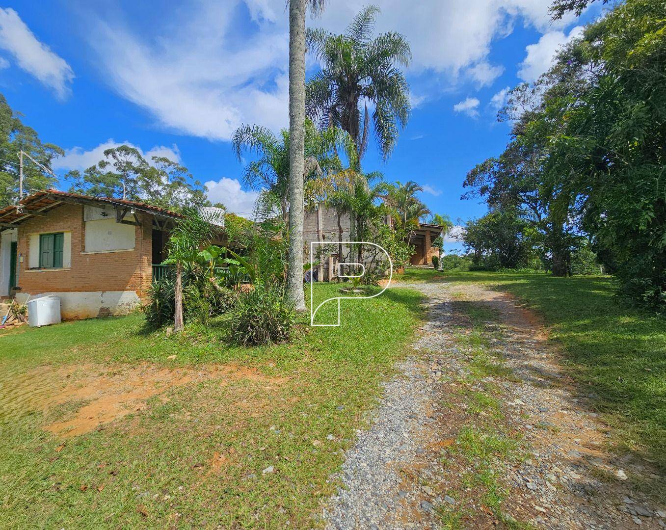 Terreno, 4 hectares - Foto 3