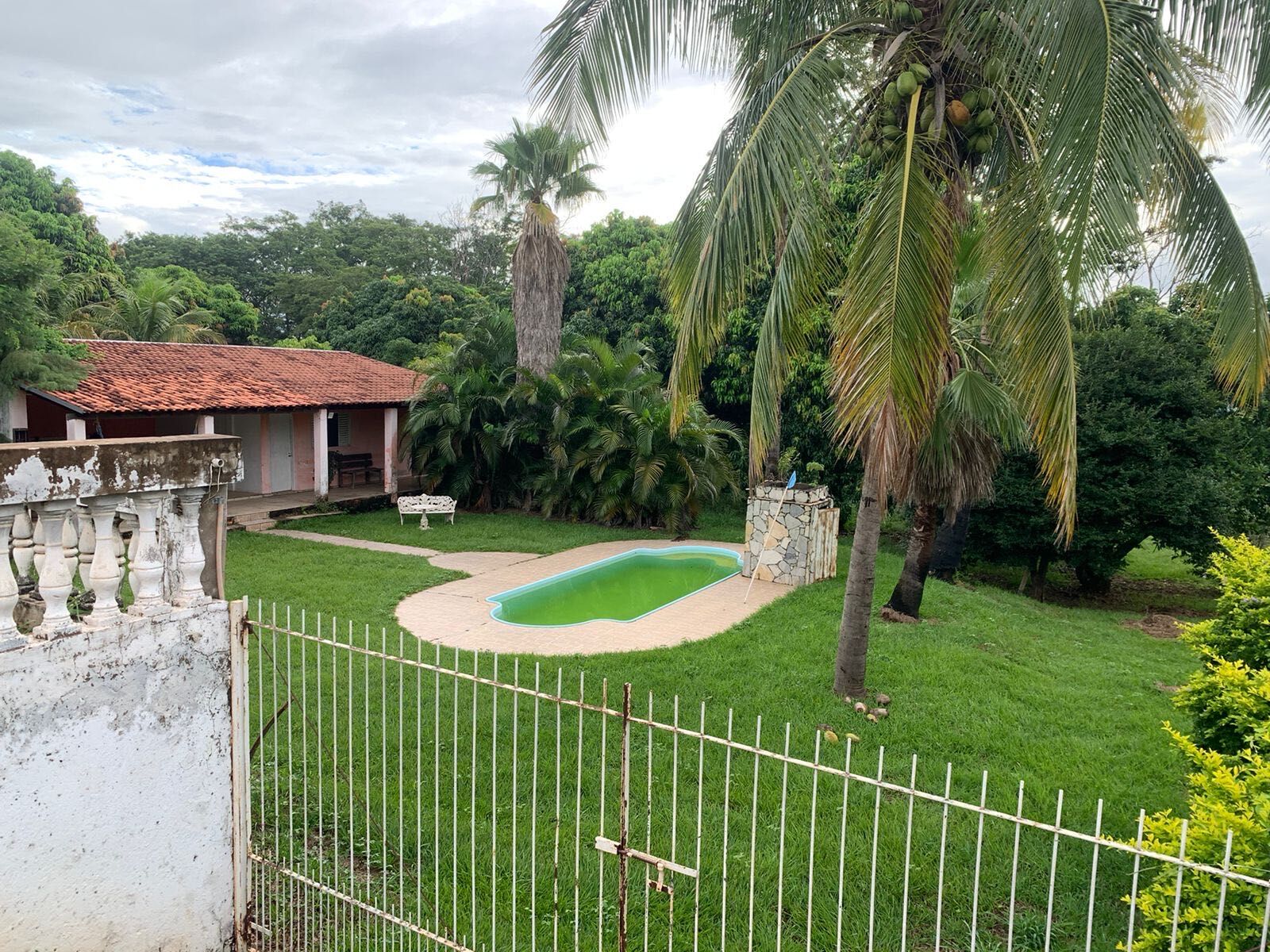 Fazenda à venda com 4 quartos, 5000m² - Foto 9