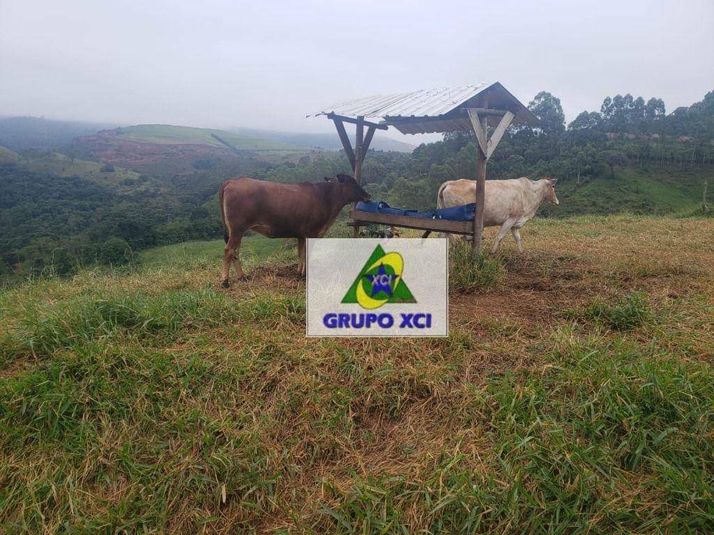 Fazenda à venda, 165000M2 - Foto 6