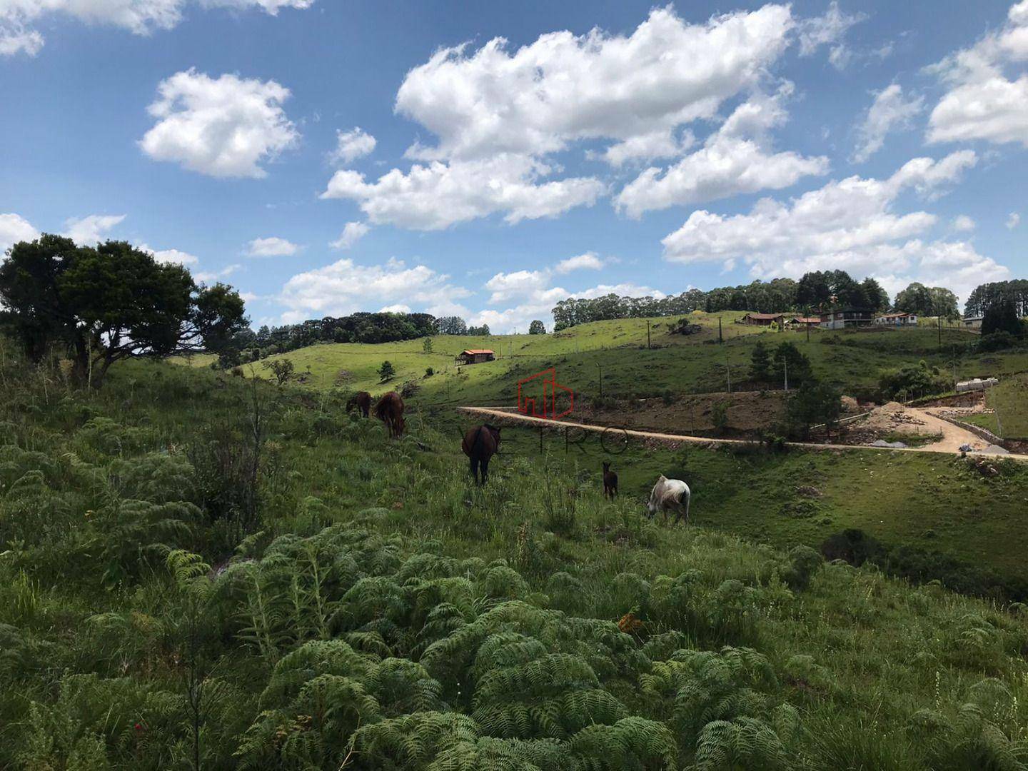 Terreno à venda, 875M2 - Foto 4