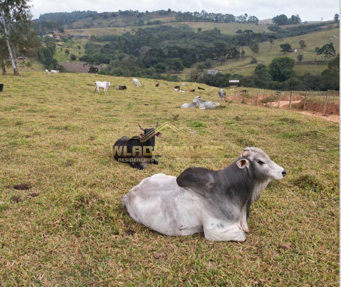 Fazenda-Sítio-Chácara, 315 m² - Foto 3