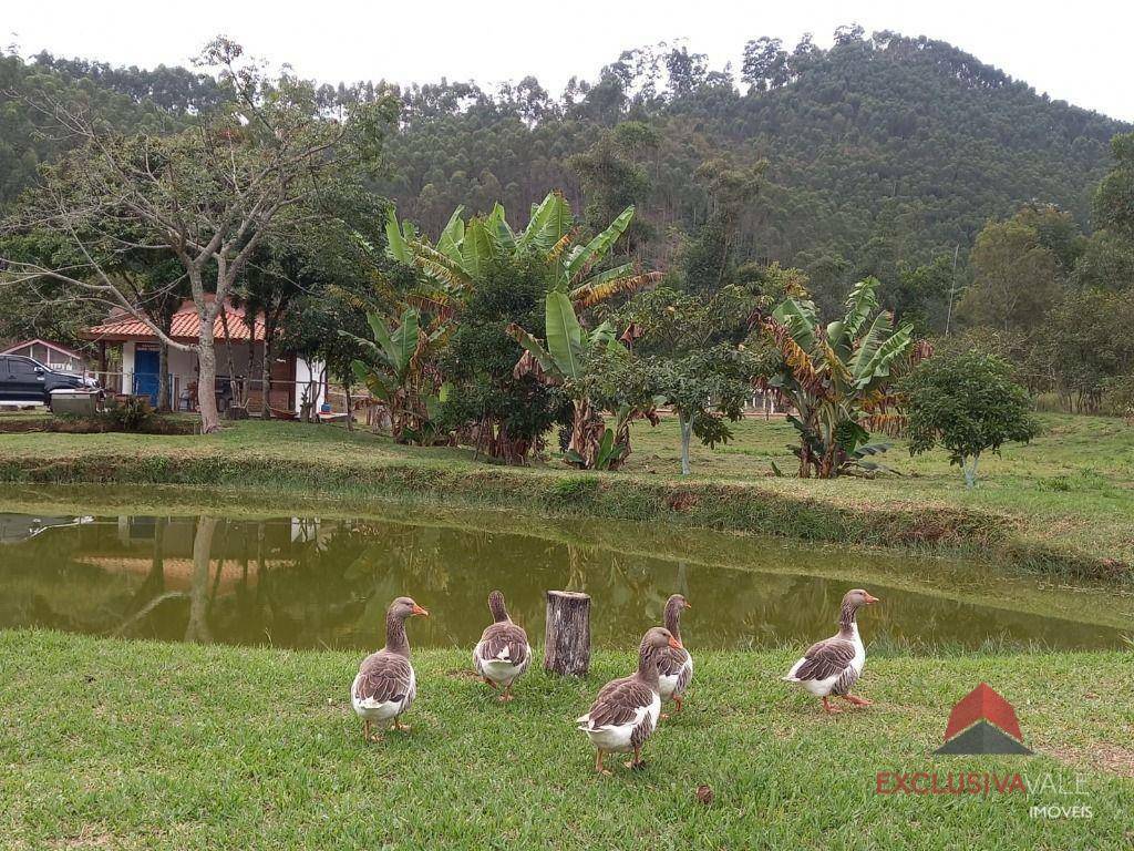 Sítio à venda com 2 quartos, 100m² - Foto 7
