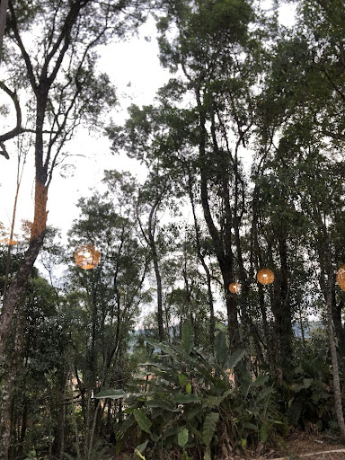 Loteamento e Condomínio à venda, 1500M2 - Foto 2