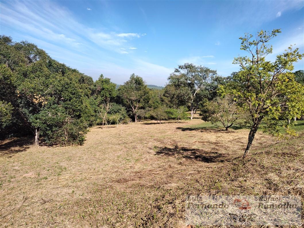 Fazenda à venda com 2 quartos, 16000m² - Foto 36