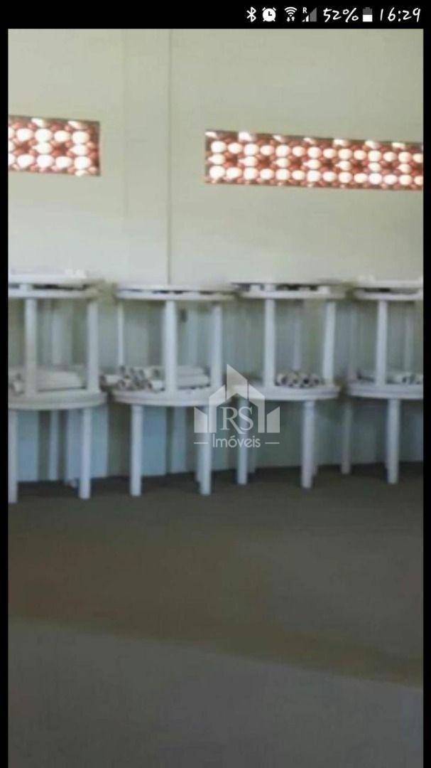 Sítio à venda com 3 quartos, 20250M2 - Foto 12