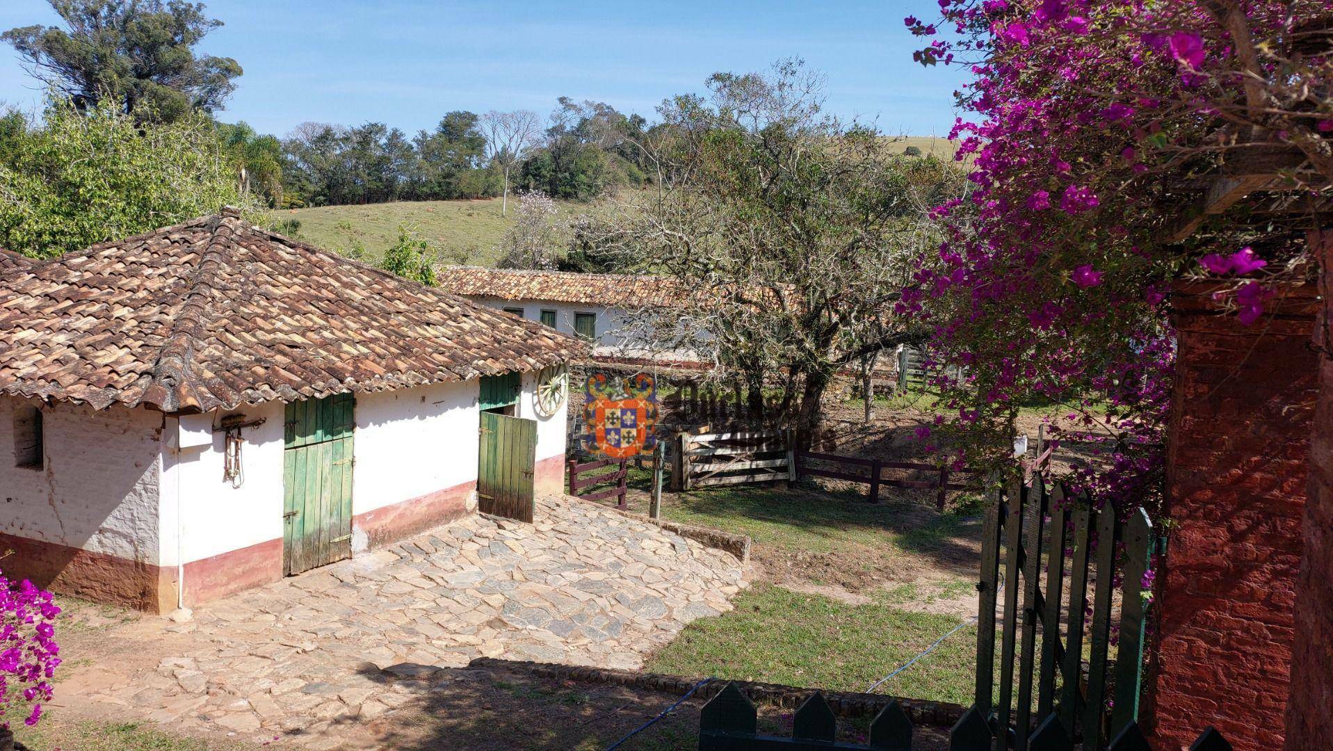 Fazenda à venda com 6 quartos, 500m² - Foto 59