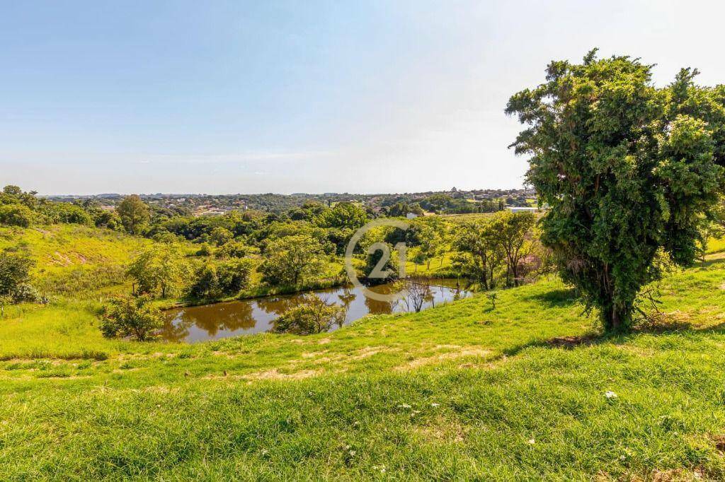 Haras e Área Rural Padrão à venda, 800m² - Foto 14