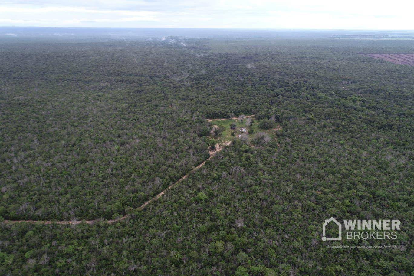 Fazenda-Sítio-Chácara, 563 hectares - Foto 12